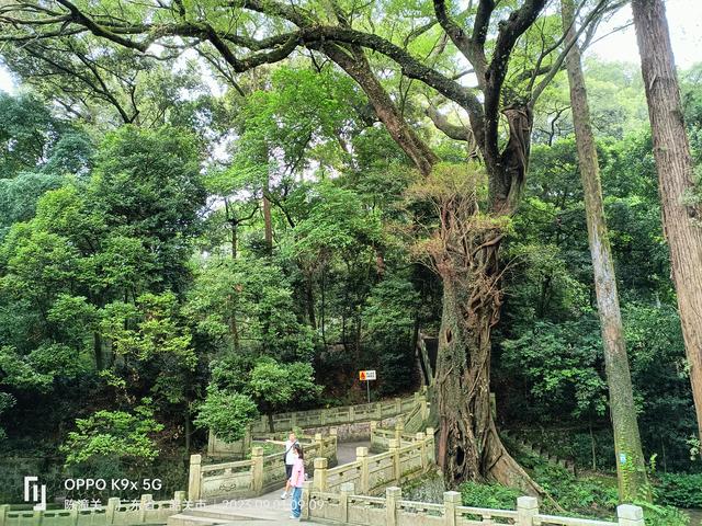 广东韶关南华寺游览图片