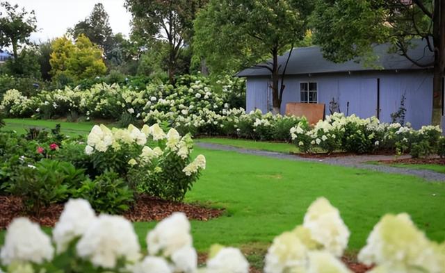 新新新新新新！滇池旅游黄金岸线的“含新量”在哪？一文读懂→