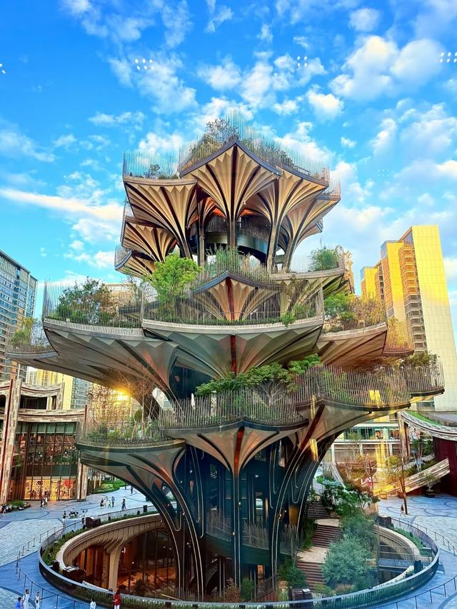 都说西安比郑州还要名气大，两地深度游后，才发现差距真的很大