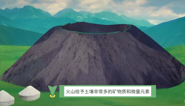 十个勤天，你们怎么也来乌兰察布挖土豆啦？