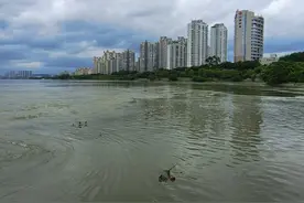 发现一个有趣现象，海竿垂钓老师傅们居多，年轻人大多更青睐手竿图片