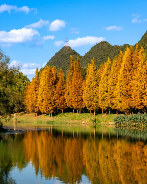 跟着《一路繁花2》打卡花溪~复刻姐姐们同款秋冬美景！