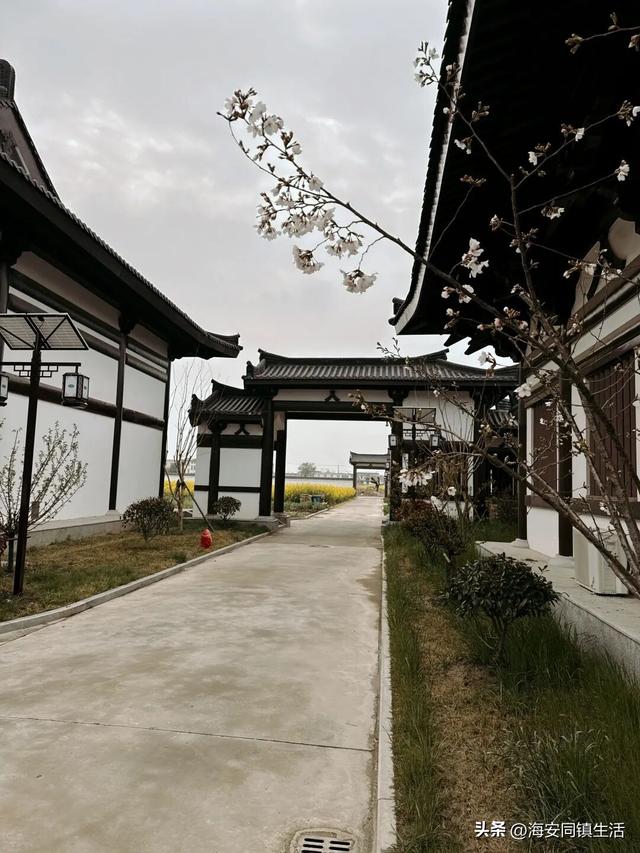 海安人私藏的「静心宝地」，去了就不想走