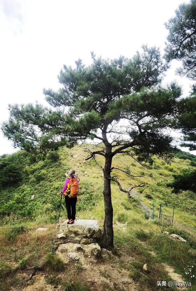 ​​​忍着胸上方肋骨的疼痛，爬了个齐长城，累计拔高900+，走了13公里