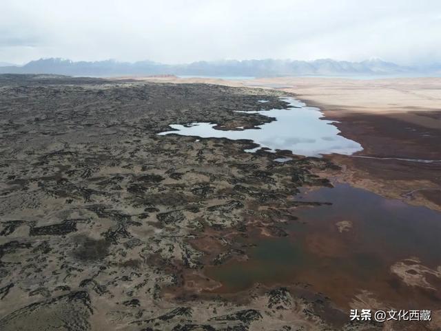震惊老司机！走一遍就终身难忘！216国道到底有多绝？