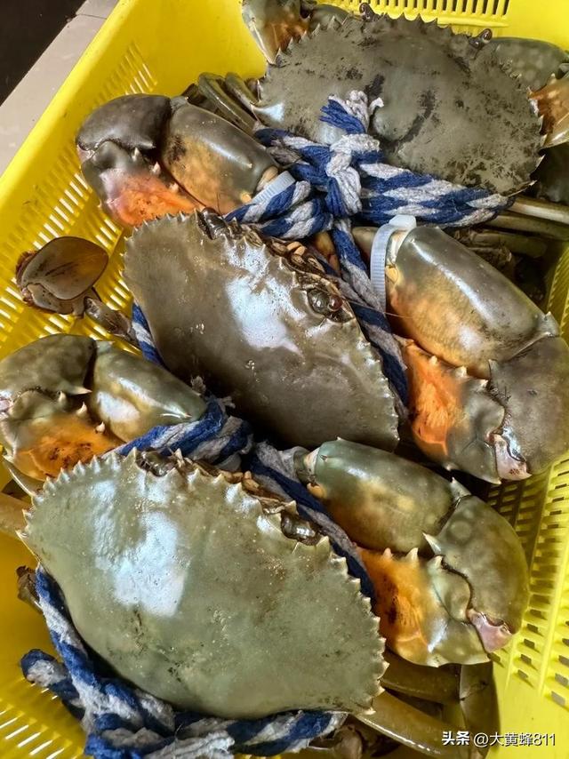 认识大美浙江的每个县——第四波：宁海