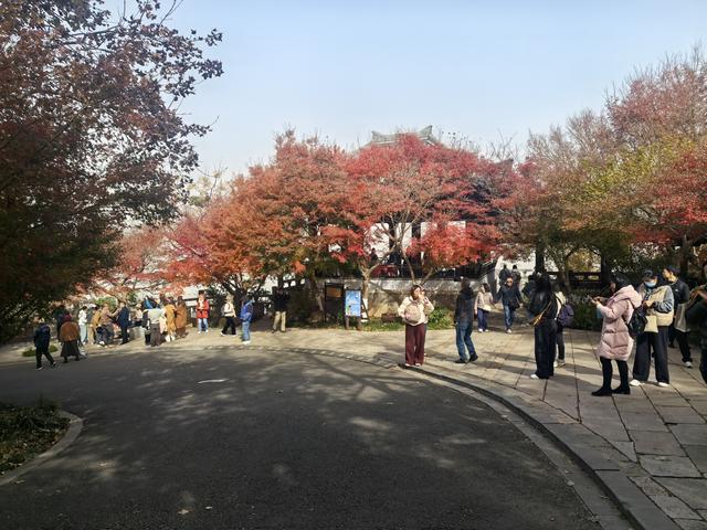 南京栖霞山一日徒步，游千年古刹，看漫山红叶