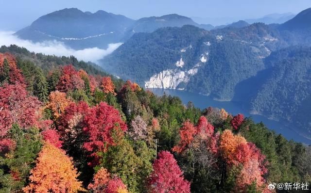 【节气里的大美中国·大雪】【绝美壁纸！#冬天里的大美中国#】