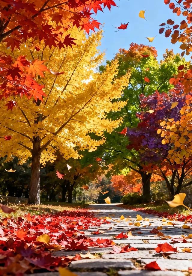 自然与山河为纸，以光影为笔