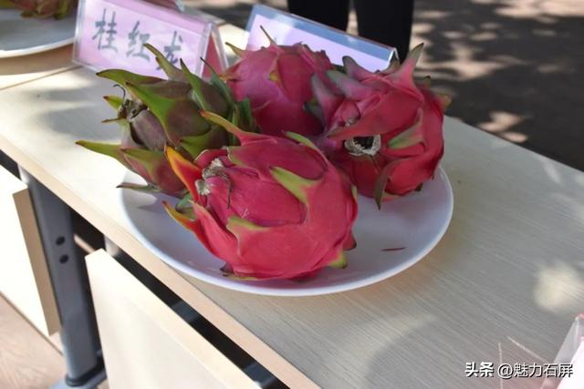 时间定了！8月23日，不见不散！