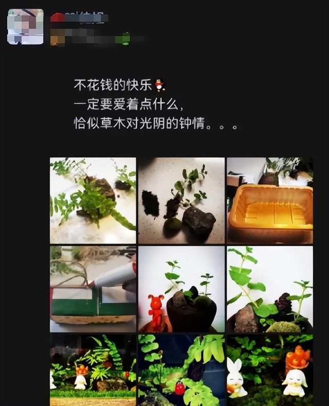 阴花不能进阳宅！这5种花“打死”也不养，家里若有？快挪走！