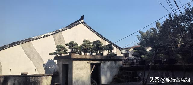 真是醉了，徒步奉化东西岙徐凫岩看悬崖飞瀑堵人竟然堵到怀疑人生