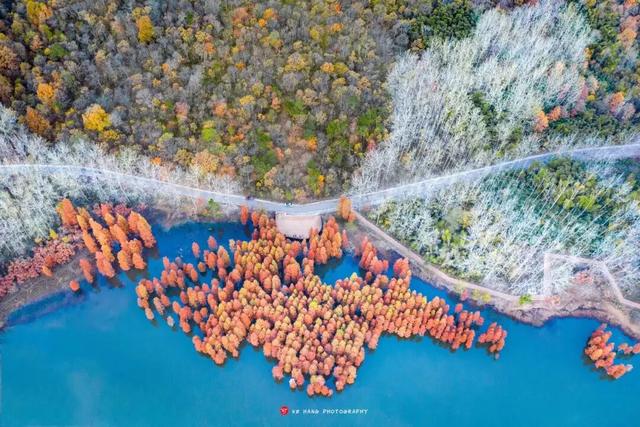 高铁1h！比西安秀美！这座千年古都秋色绝了！高光仅20天！