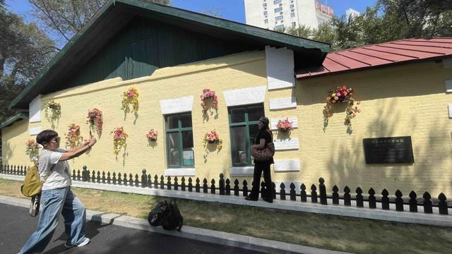彻底火了！哈尔滨花园街历史文化街区10天吸引180万人次