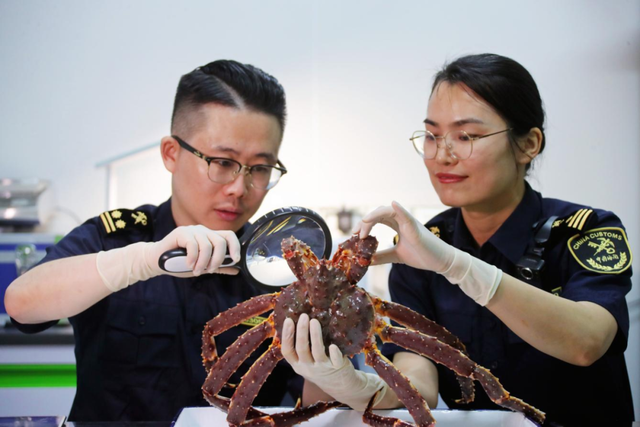 郑州航空港，真的不只会“飞”！