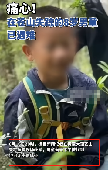 新进展！8岁男童苍山走失：定位器已找到，比孩子先丢，疑点重重