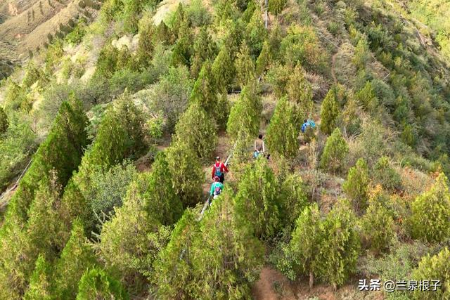 秋染兰州北山 一场用脚步丈量的秋日盛宴