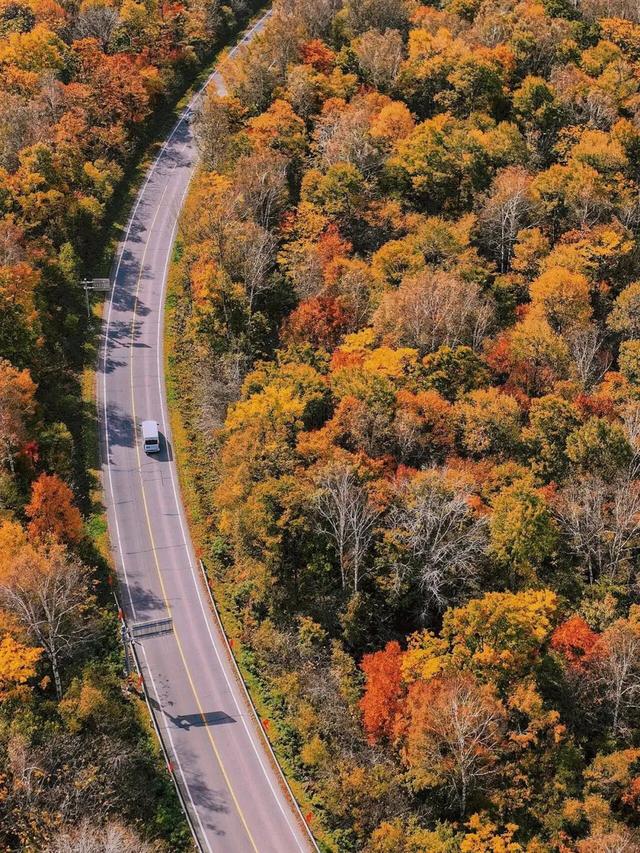 初雪与红枫共舞：11月自驾G331国道，探秘中朝边境的限定美景