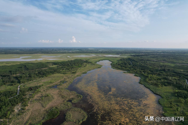 活力中国调研行 | 镜头见证→200万亩沙地绿浪奔涌，美景如画！