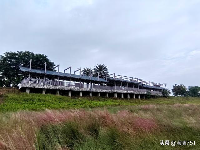 佛山三水芦苞花海生态公园