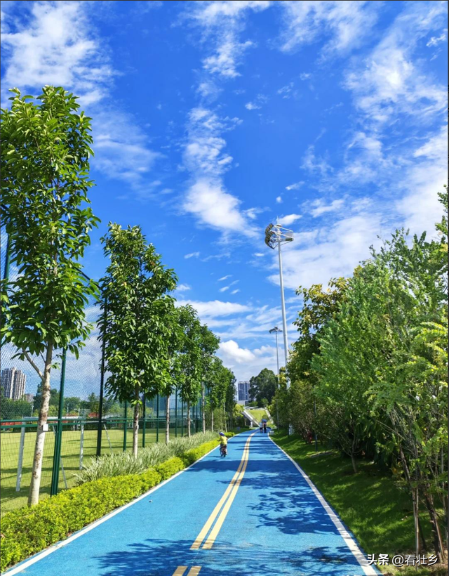 广州又一公园火了！大型滑梯+空中栈道，新晋遛娃圣地还免费