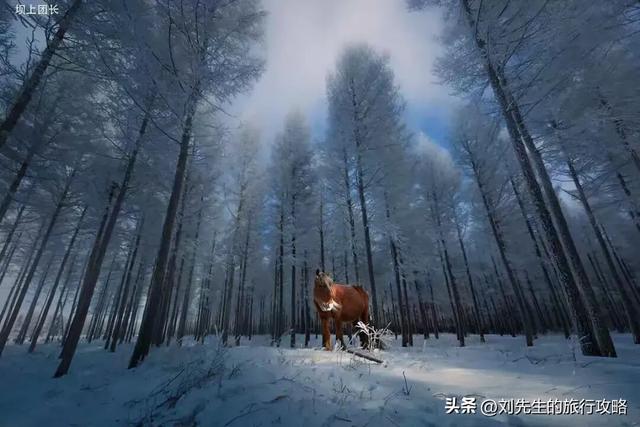 2025冬季旅行目的地推荐，浪漫冰雪、阳光海滩，总有一款治愈你！