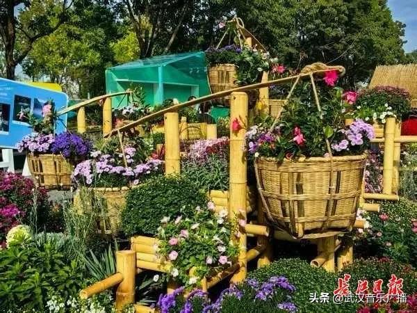 武汉地标纷纷“入景”金秋菊展
