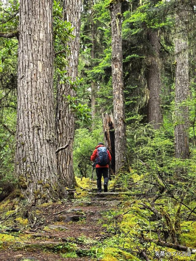 一路太多美景！离开浪浪山，去西藏这里开启一场山野漫游！