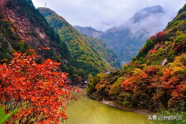 宝鸡夏季县区休闲纳凉好去处，你选择哪一个？