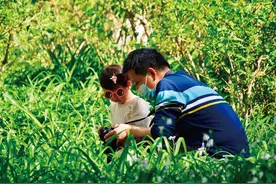 暑期夏令营 | 5天解锁自然世界！7-8 月限定营期让孩子化身「森林密探」，做会跟植物对话的少年！图片