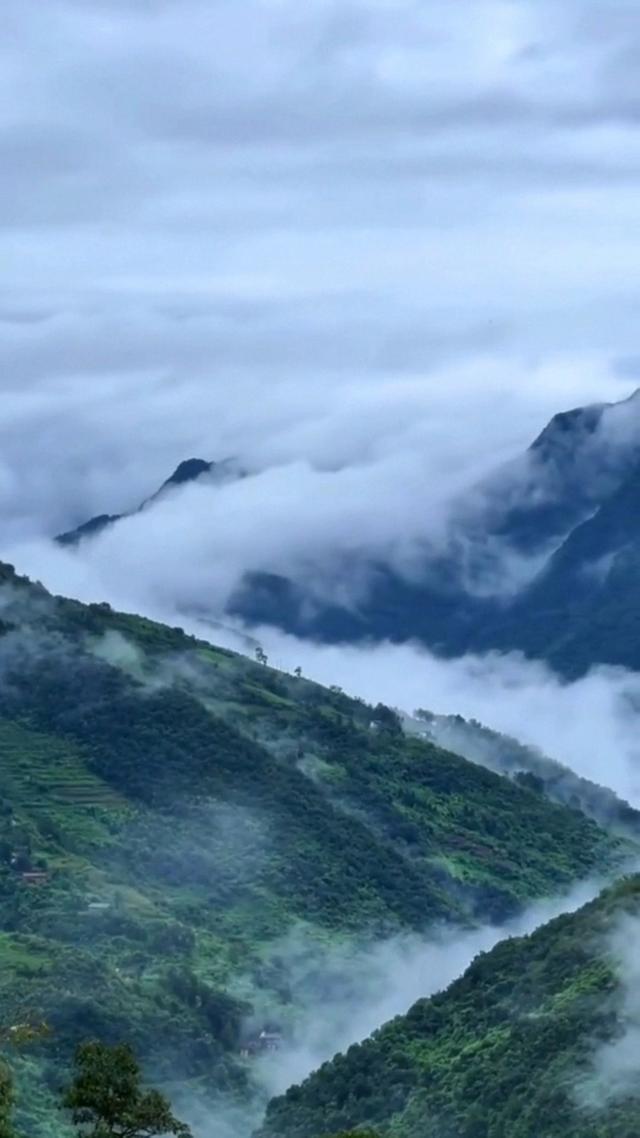 牛蹄岭雾中寻梦-陕西安康红色旅游一