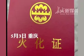 胖猫事件最新后续，姐姐证实胖猫已火化，网友联手揭开真相面纱！图片