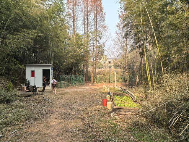 南京江宁大连山金陵四十八景之虎洞明曦，佘村丹霞山一日郊野徒步
