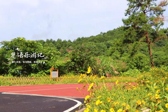 浙江宁波城西的骑行绿道，沿途湖光山色美不胜收，近10个驿站更美