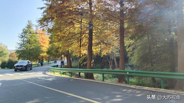 溧水南京同城游超香！可往返高速费为啥不能免？其实已经在发力了