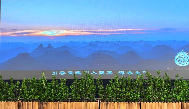 西汉墓址·大葆台遗址博物馆·北京