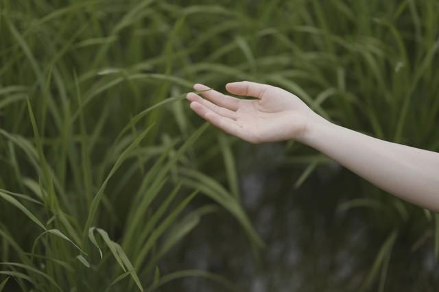 我跟男朋友在昭通呆了两年，终于明白，为啥大家都来昭通了