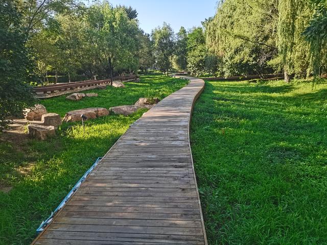 六问沈阳北塔公园空灵花海景点为何无花只有荒草
