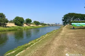 深圳河边钓鱼的免费宝藏地，大草坪可搭帐篷，停车免费图片