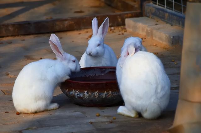 报！开封又上新了~