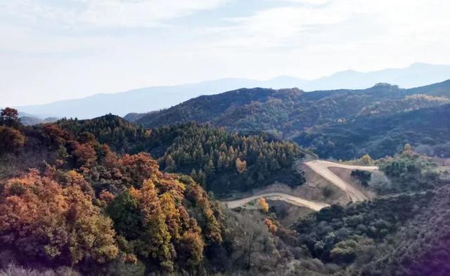在这座高山之巅，尹志平吟了首什么诗？