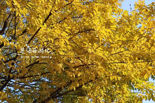 浙江宁波的绝美风景，犹如多彩的田园风情画，拍照与休闲都是一绝