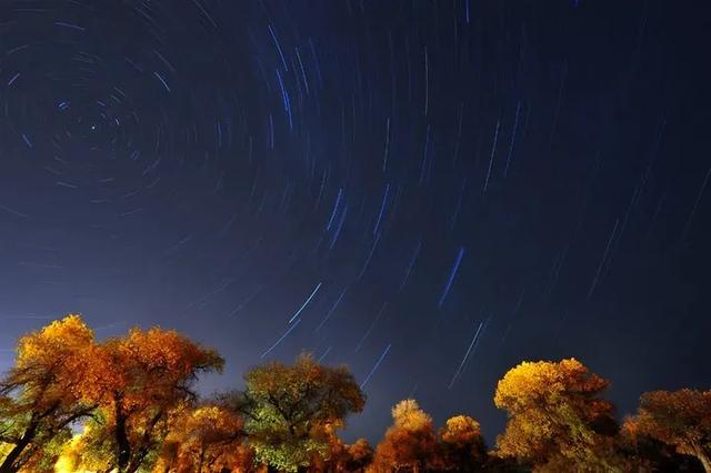 又火出圈！额济纳入选马蜂窝十一假期热门宝藏小城TOP10