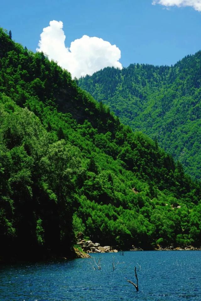 热热热，茂县松坪沟自带降温“凉”方！