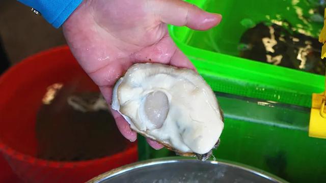 鹅脚炆花胶的做法 2026年鹅脚炆花胶的做法和功效 鹅脚炆花胶的做法 2026年鹅脚炆花胶的做法和功效