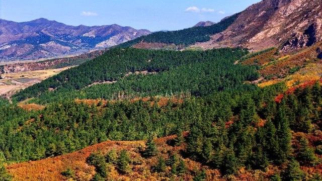 走进赤峰马鞍山林场 邂逅绚烂山林秋色