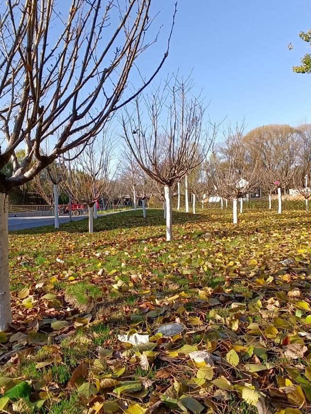 福州是个有温度的城市