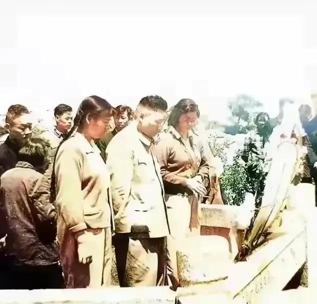 这是毛岸青给妈妈扫墓的8张照片，一句“妈妈好想你”令人泪目