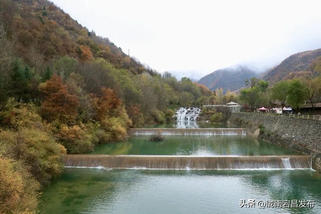 秋辞官鹅：一季斑斓入岁华