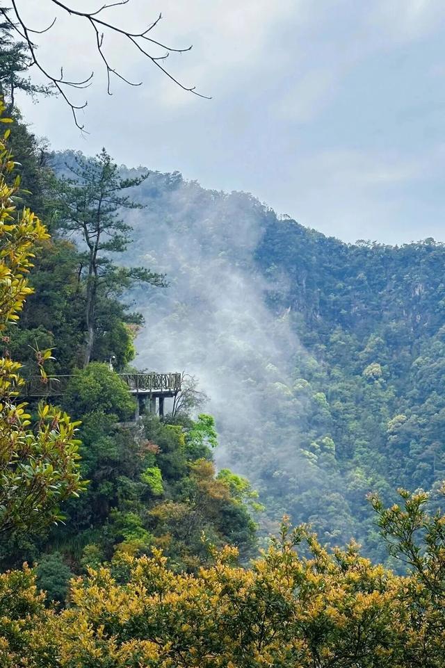 德化：“瓷”与“山”的邂逅，等你来赴约！